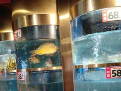 -蜀滋香鲜鱼美蛙火锅(339店)