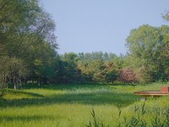 -东郊湿地公园