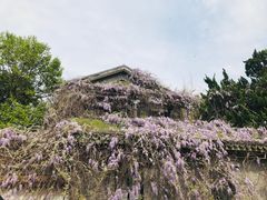 -汇龙潭