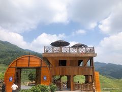 -紫鹊界梯田景区