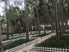 -仁和公园(顺义区)