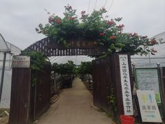 -嘉北郊野公园