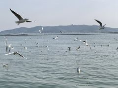 -太湖面馆十八浇(渔港路店)
