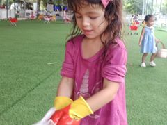 -晓港公园
