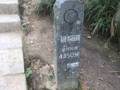 -梧桐山风景名胜区