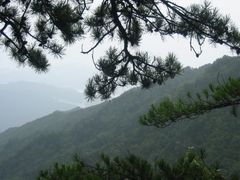 -内乡宝天曼生态旅游区