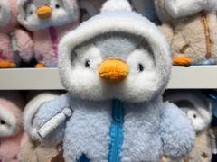 -海合安成都极地海洋公园