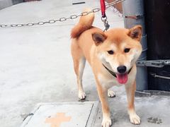 -灌篮高手动画打卡地