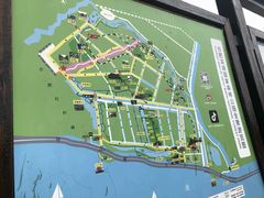 -合肥滨湖国家森林公园