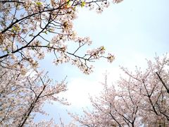 -龙美术馆(西岸馆)