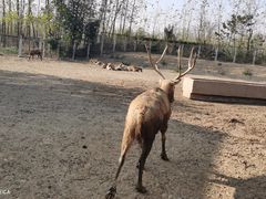 -宿豫区运河湾森林动物园