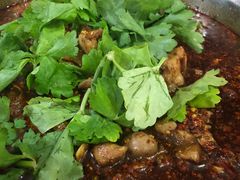 -温江公平红烧兔(总店)