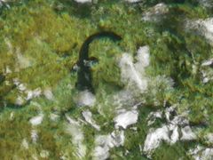 -祁门牯牛降观音堂风景区