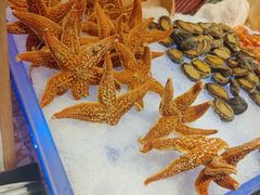 -美盛喜来登大酒店-盛宴标帜餐厅