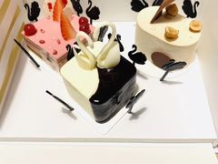 -BLACKSWAN黑天鹅(环球店)