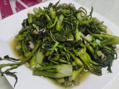 -横道佛手居筋饼店
