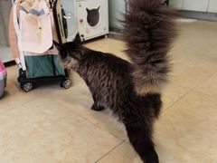 -沐沐家宠物(成寿寺店)