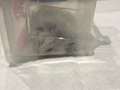 -雨林宠物医院 非犬猫异宠专科