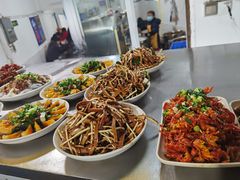 -食神又名厕所兔