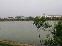 -羊山湖公园