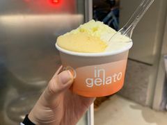 -DIP in GELATO(富民路店)