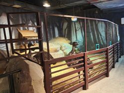 -酷嗒动物文化乐园(cutezoo西溪乐天城店)