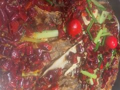 -老板恋上鱼(恒隆广场店)