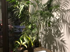 -隐食餐厅(金水湾公馆店)