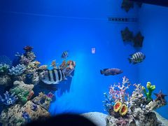 -上海海昌海洋公园