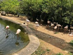 -吉隆坡雀鸟公园