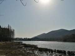 -长广溪湿地公园