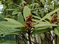 -海底捞火锅(万科广场店)