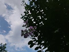 -花锦堂·隐庐