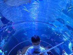 -华夏文旅海洋公园