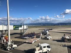 -全日本空输株式会社(上海办事处)