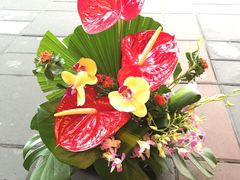 -静岸花卉园艺(三星坊店)