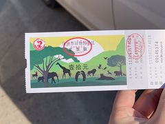 -保定市动物园