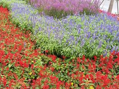 -辛玛王国游乐园