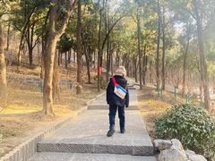 -济南战役纪念馆(济南革命烈士陵园)