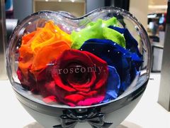 -ROSEONLY诺誓(青岛万象城店)