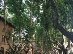 -西安交通大学(雁塔校区)
