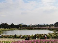 -径山花海