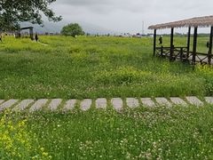 -新疆那拉提国家旅游度假区
