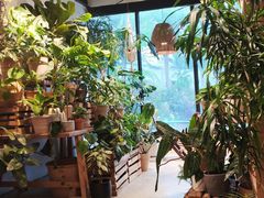 -自由生长植物工作室(深港花卉中心店)