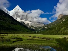 -稻城亚丁景区-冲古草甸