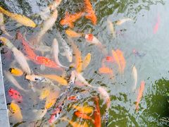 -芜湖方特东方神画