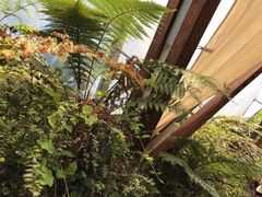 -怀托摩萤火虫洞