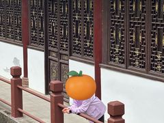 -棠湖公园