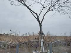 -上海南汇嘴大堤酒店