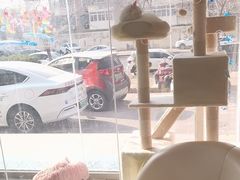 -A猫a狗全科·犬猫异宠·芥西宠物医院(南开总院)